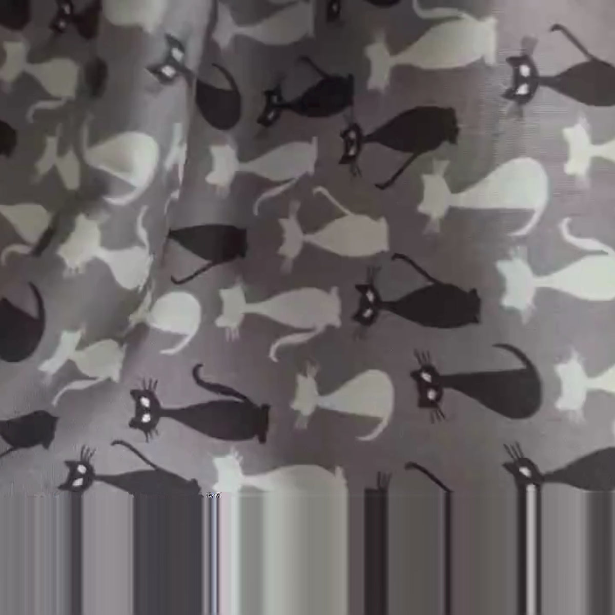 Video of Charcoal Halloween cotton fabric with black and gray cats β Spooky Hollow Cats by Riley Blake Designs SC10573