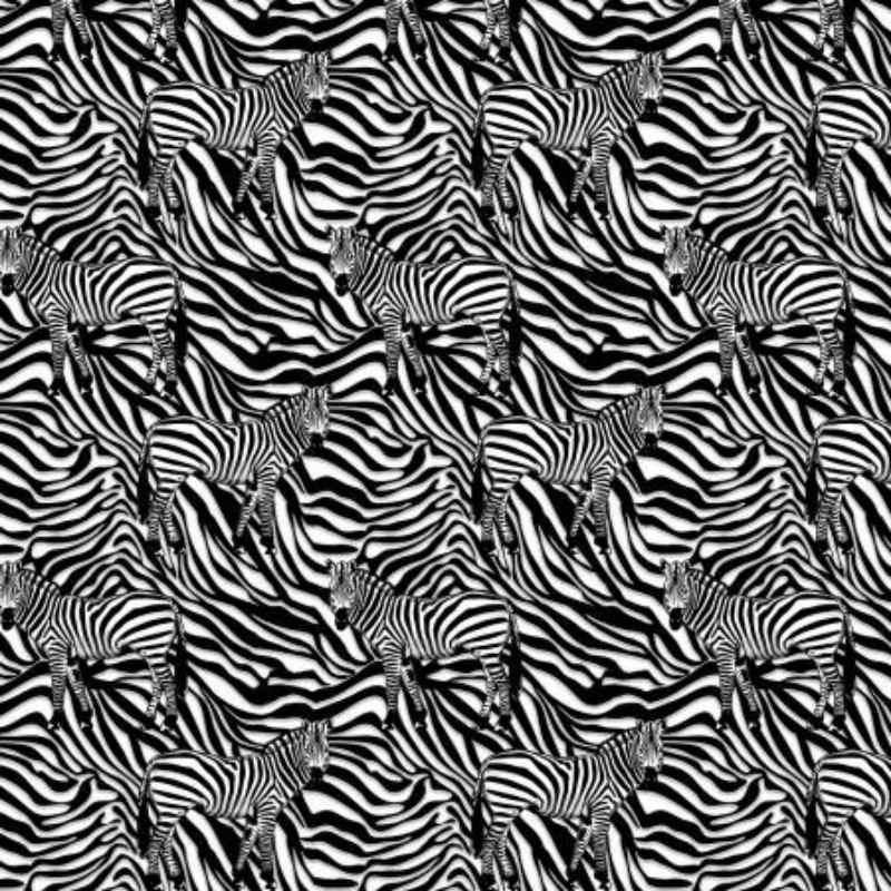 Zebra Print, Wild Camo, African Print Fabric Design Treasures display picture 1