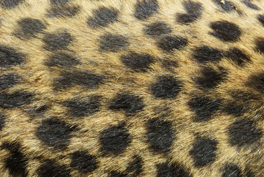 Faux Fur Fabric - Real Looking Fur - Fabric Design Treasures