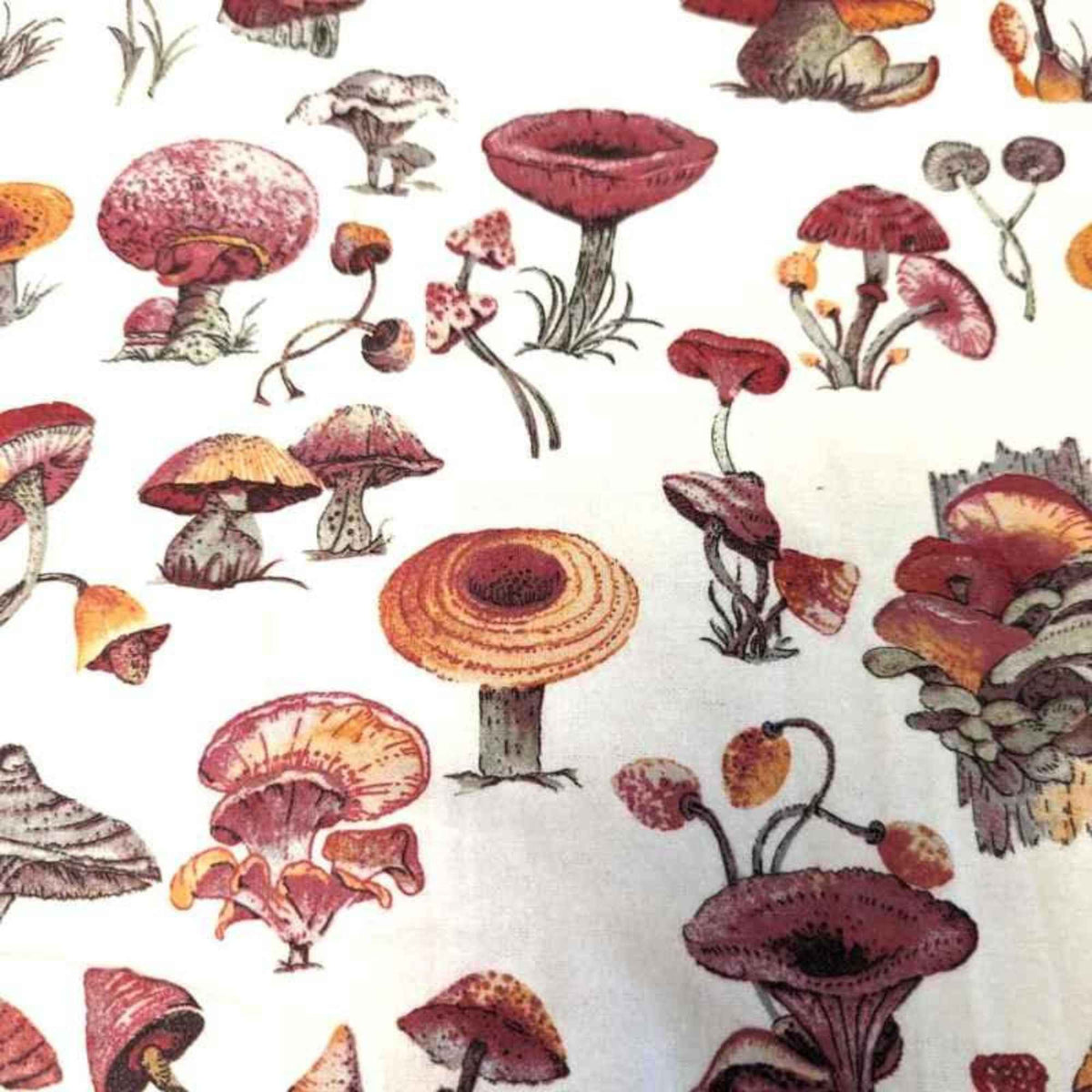 Wild mushroom cotton flannel fabric with detailed red, brown, and orange mushrooms on a cream background, soft brushed Oeko-Tex, 44" wide.