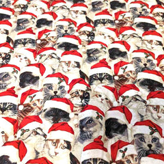 Patty Reeds' Christmas Cats, Rare OOP | Fabric Design Treasures