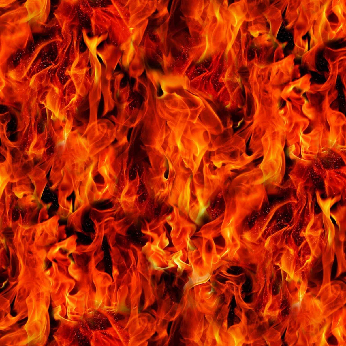 Black & Red Flame Cotton Fabric – Fire Print on Black, 100% Cotton