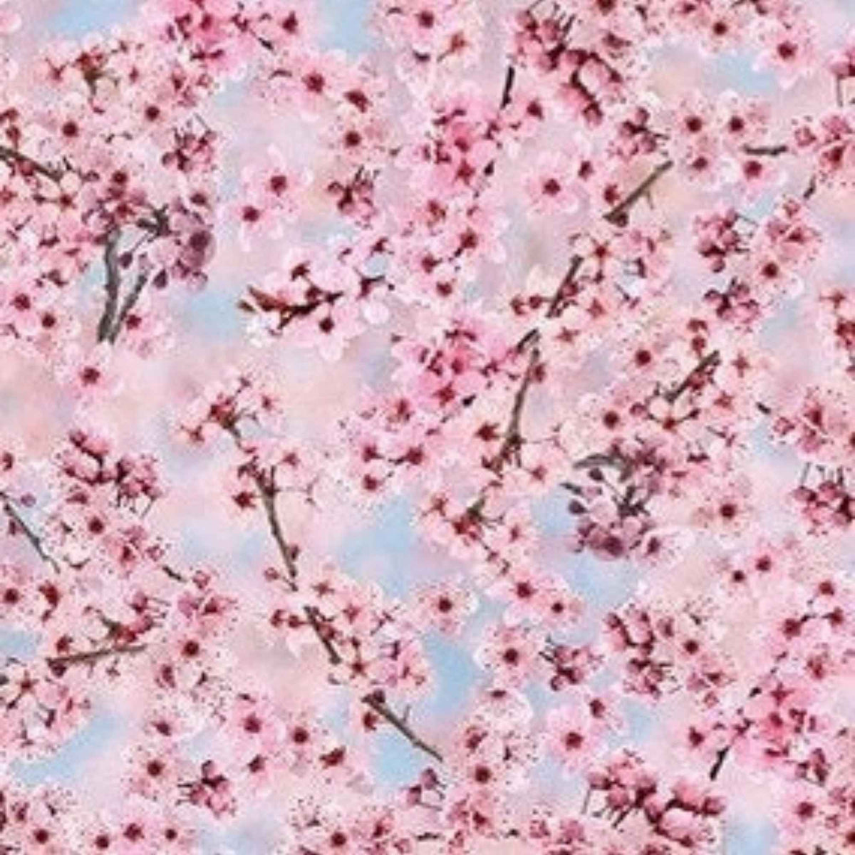 Cherry Blossom Cotton Canvas – Light Pink on Blue, 100% Premium Half Panama Cotton