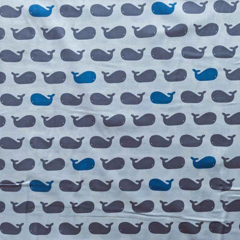 Grey and Blue Whales on White