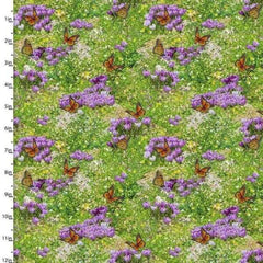 Butterfly Fabric 3 Wishes Steam in the Spring Digital Print