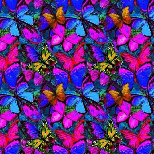 Butterfly Fabric, Butterflies in Flight Quilting Cotton