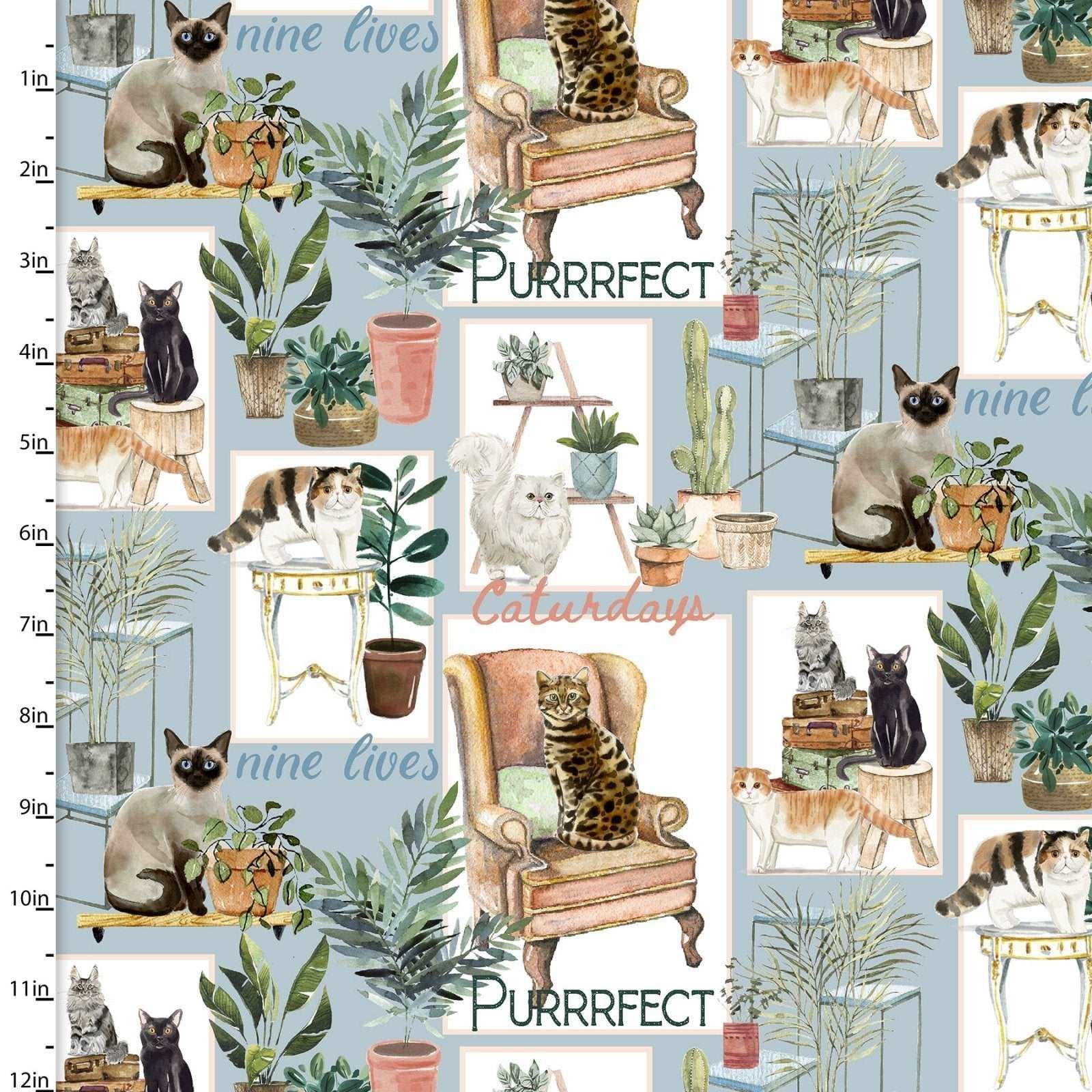 Cat Fabric Everyday is Caturday Collection Digital Print - Fabric Design Treasures
