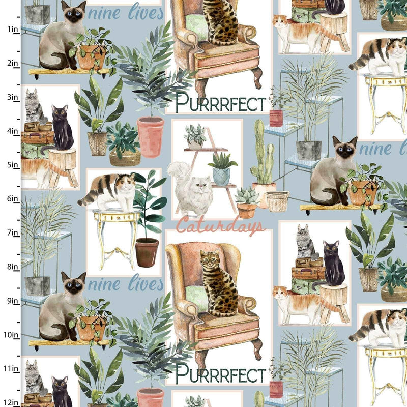 Cat Fabric Everyday is Caturday Collection Digital Print