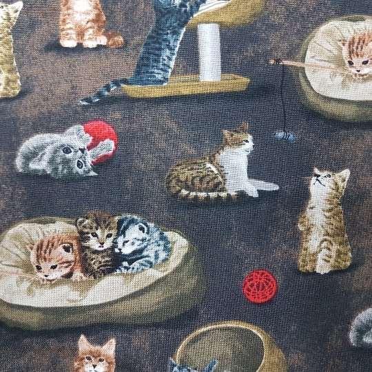 Cat Fabric Playful Cats on Blue, Brown or Red Background