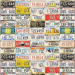Cotton Canvas Wall of United States License Plates