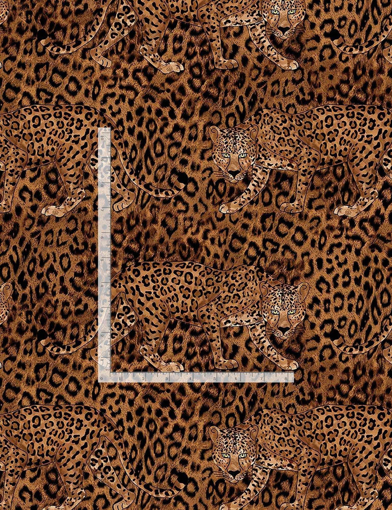 Leopard Print, Wild Camo, African Print