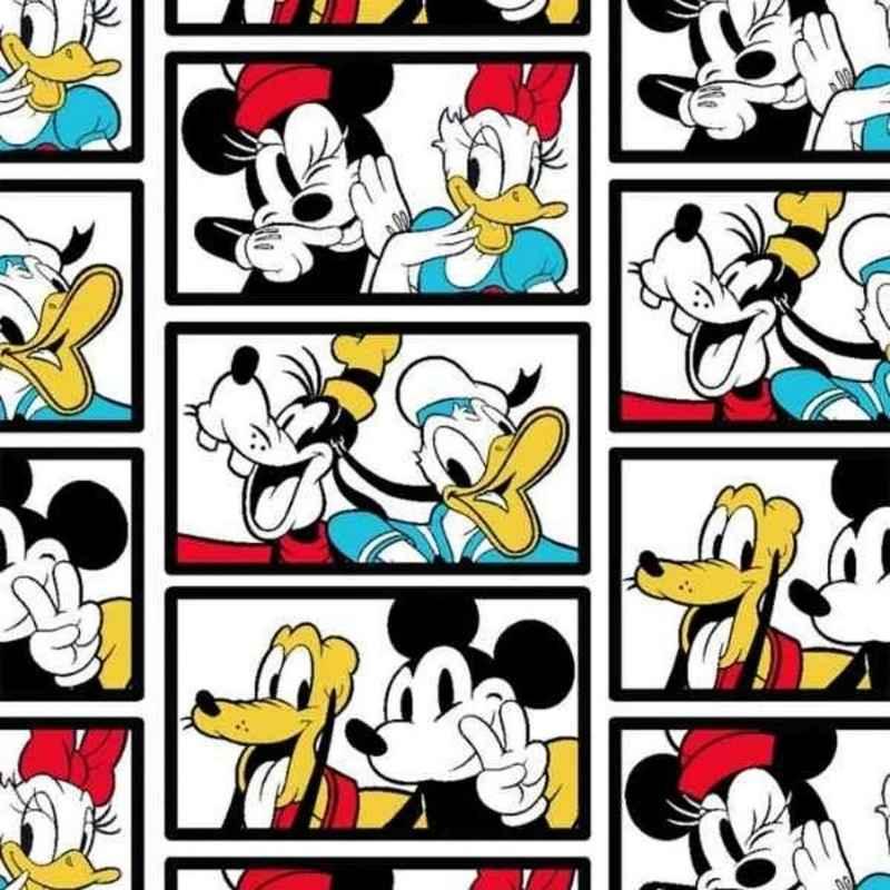 Mickey Mouse Fabric, Mickey and Friends