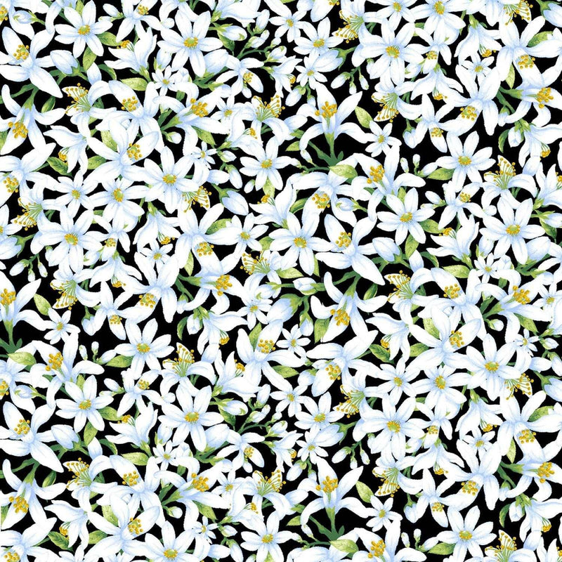 Packed White Lemon Flowers on Black Fabric | Fabric Design Treasures