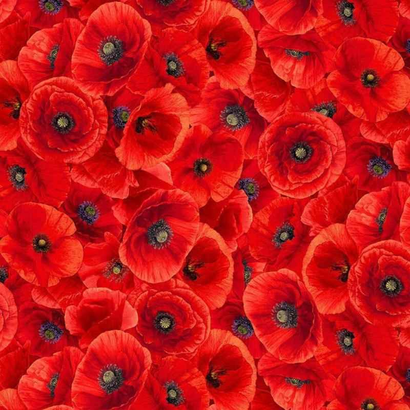 Poppy fabric, Sunset Poppies in Red by Chong-A Huang | Fabric Design Treasures
