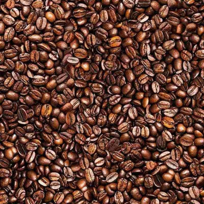 Timeless Treasures Coffee Bean Fabric Back to the Grind | Fabric Design Treasures