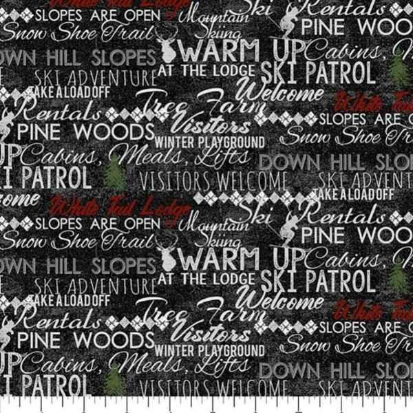 Winter Playground, Clothworks Colorful Winter Words Fabric | Fabric Design Treasures